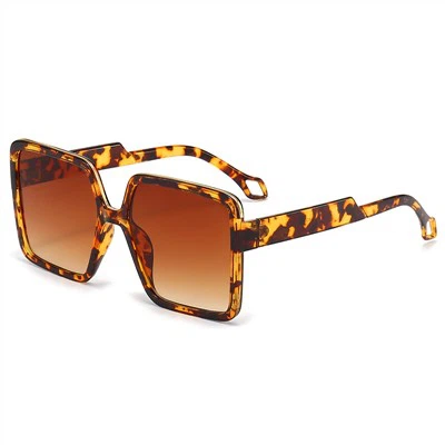 Chunky Frame Sunglasses